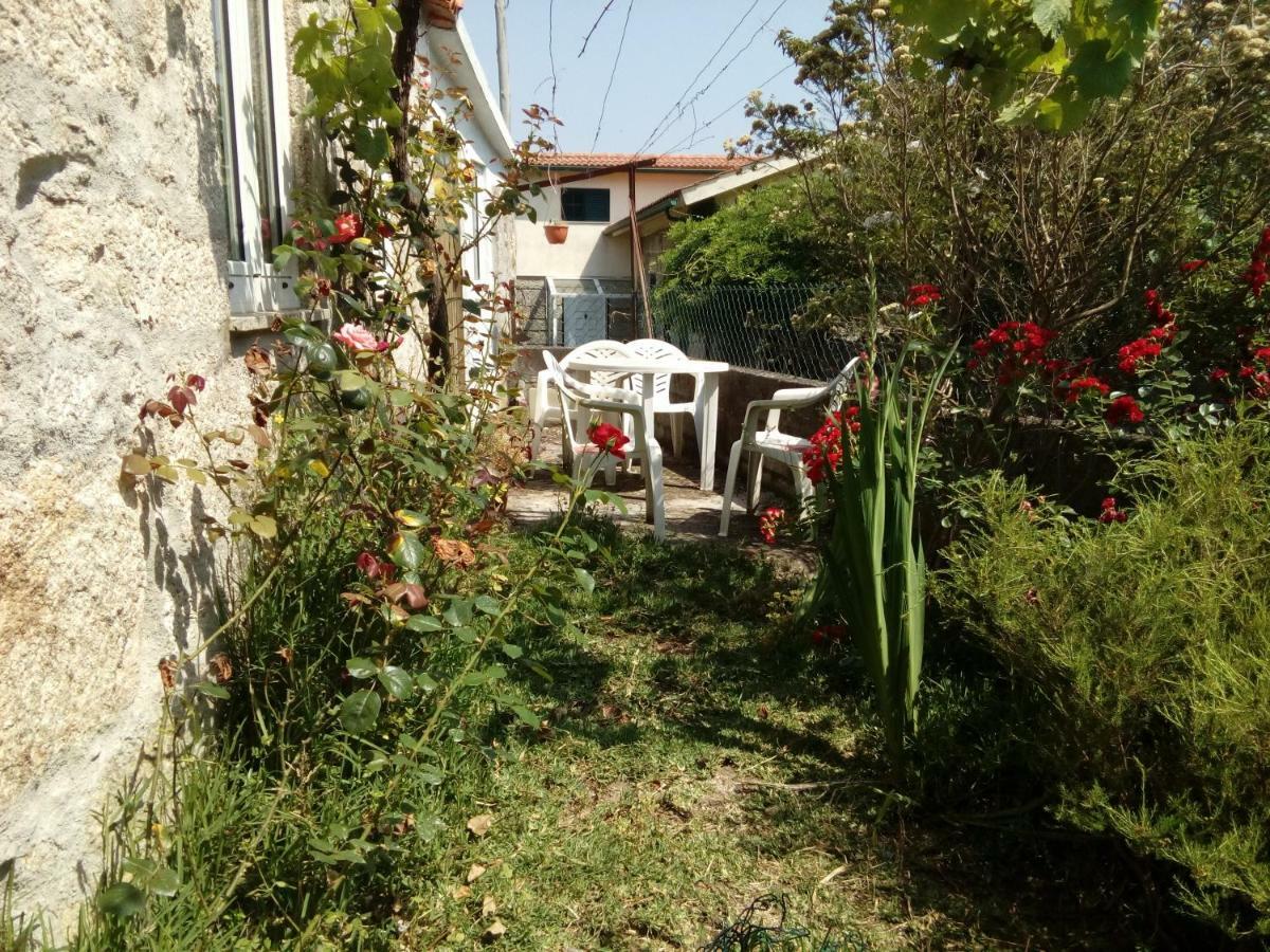 Cottage house Lovelhe Zewnętrze zdjęcie